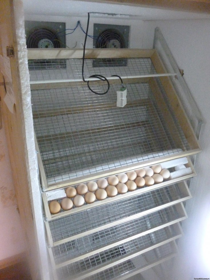 Инкубатор своими руками - чертежи и описание, виды инкубаторов для вывода птенцов в домашних условиях. 120 фото самодельных инкубаторов
