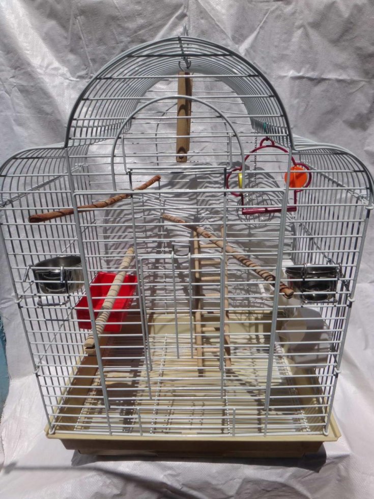Как сделать клетку для попугая: основные требования, инструменты и материалы, пошаговая фото-инструкция. Советы мастеров по обустройству клетки