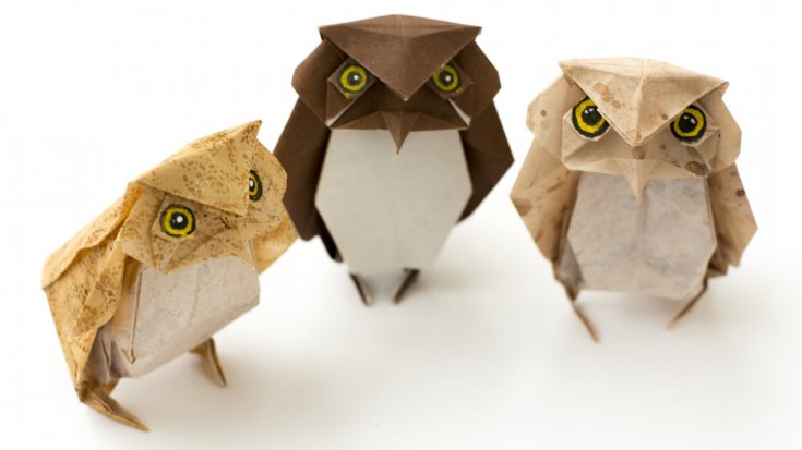 Как сделать сову оригами - обзор лучших идей по созданию эксклюзивных поделок своими руками. Смотрите фото и видео совы в технике оригами