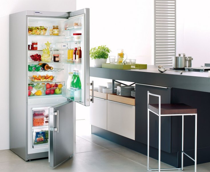 Как выбрать хороший холодильник: советы экспертов, как выбрать качественную технику для кухни. Виды холодильных камер, тип разморозки/заморозки, класс энергопотребления и уровень шума, дизайн
