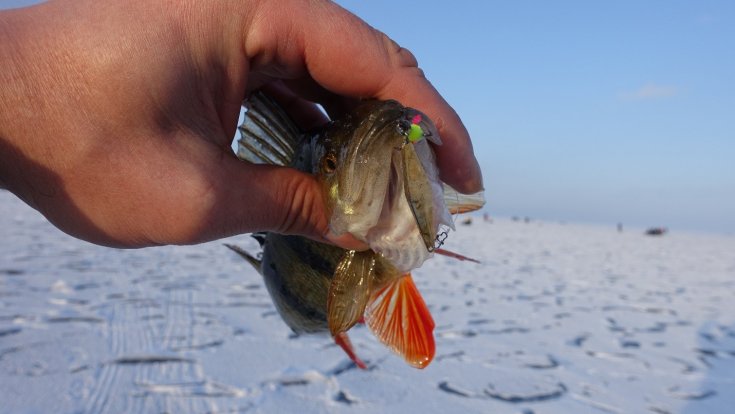 Зимняя блесна своими руками: изготовление, блеснение, советы по технике применения и нюансы вылова рыбы (115 фото)