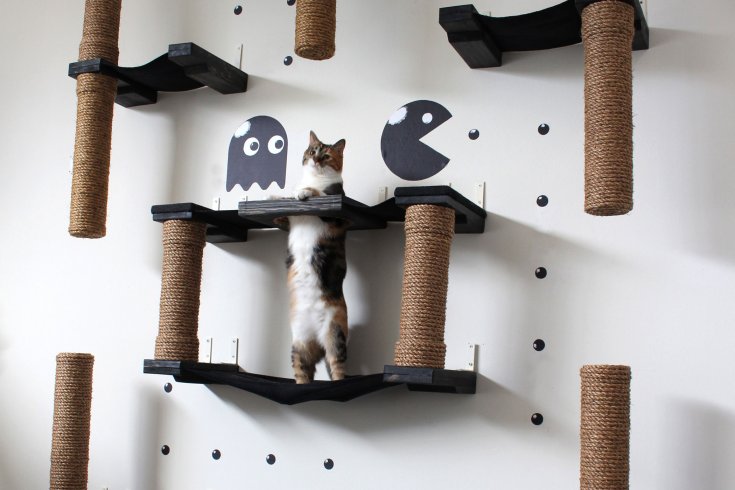 Как сделать домик для кошки своими руками - идеи и пошаговая инструкция изготовления места для котика (105 фото)