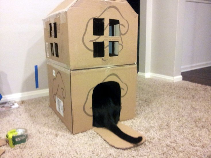 Домик для кошек своими руками способы создания уютного места